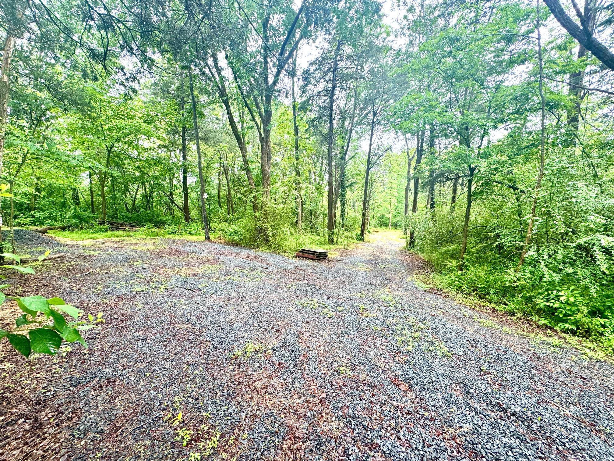 Slaughters Mill Road Mitchells, VA 22729 - Photo 3 of 6 Beautiful wooded lot