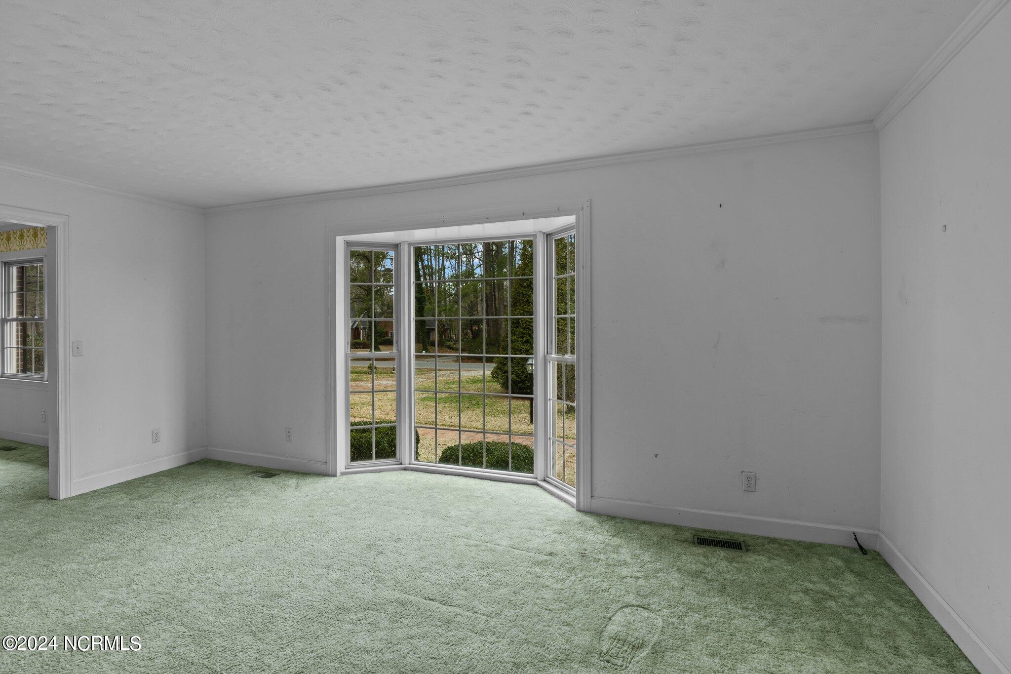 1041 Oakview Road Williamston, NC 27892 - Photo 7 of 42 7-web-or-mls-470A7404