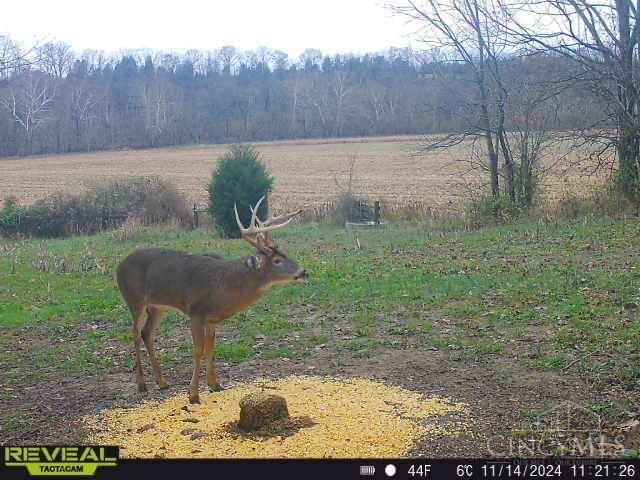 1 Inlow Avenue Peebles, OH 45660 - Photo 88 of 88
