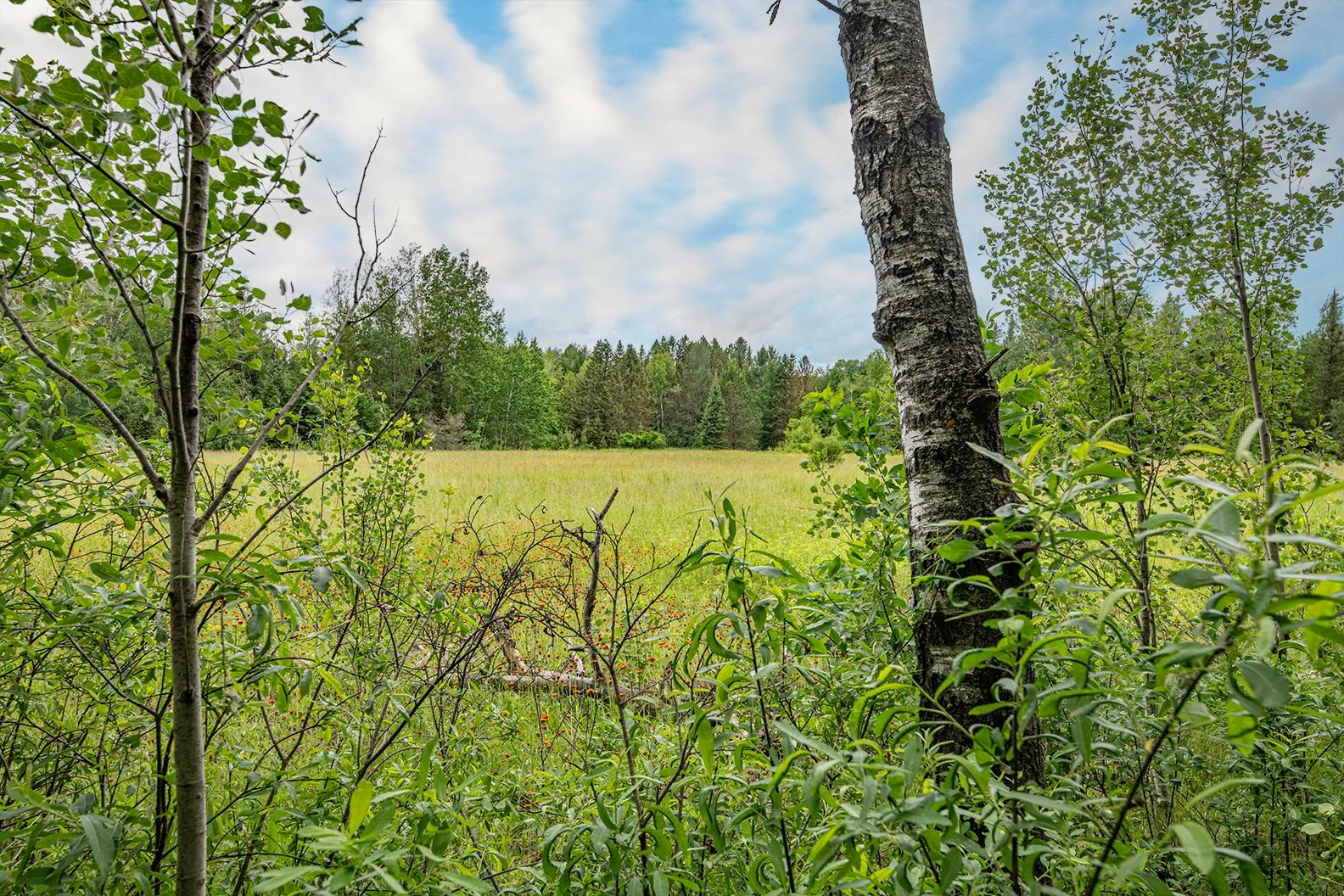 Three South Big Lake Loop Road, Unit 69AC Three Lakes, WI 54562 - Photo 15 of 30 Gallery Image 15