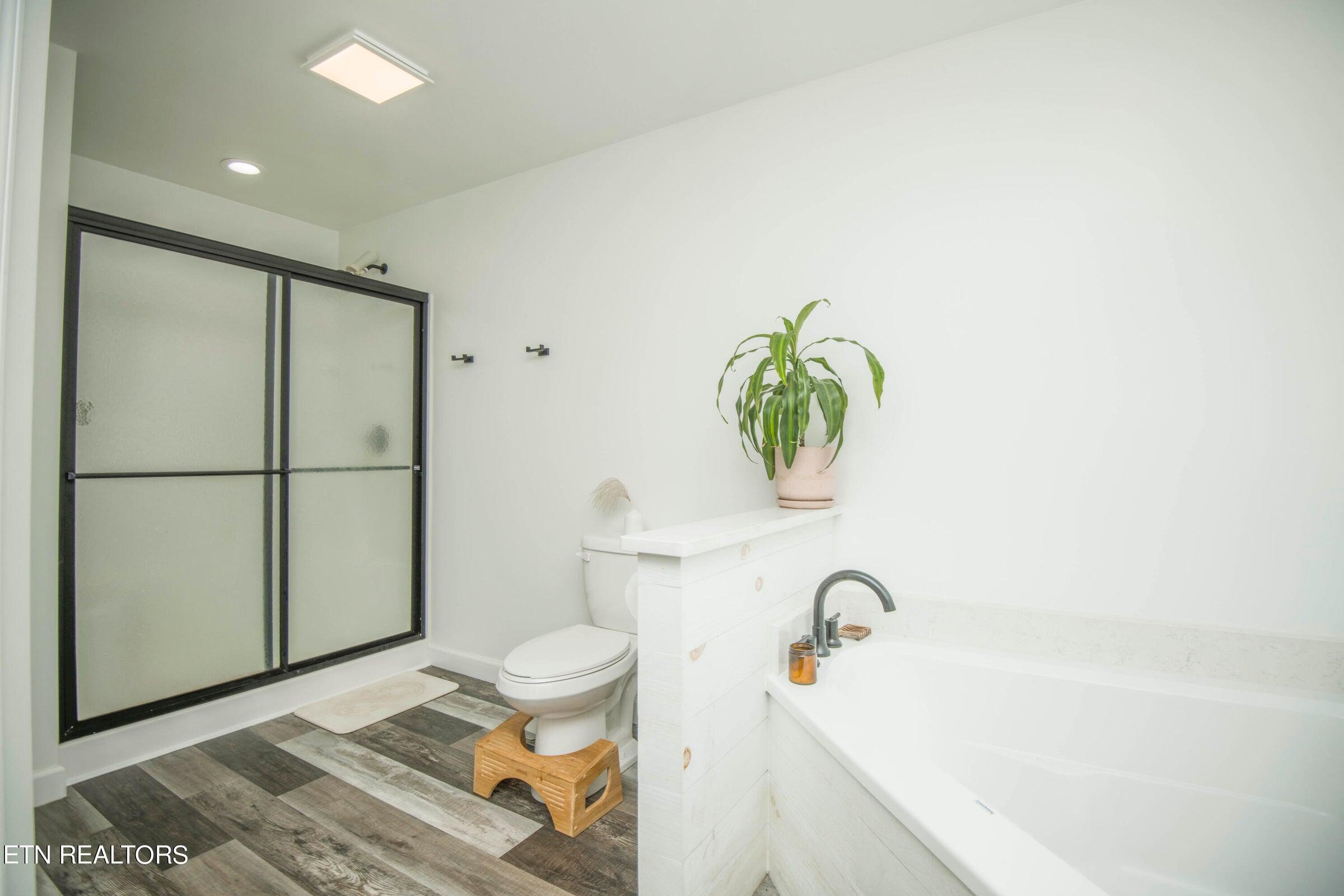 126 Homestead Hollow Road Lancing, TN 37770 - Photo 24 of 60 24