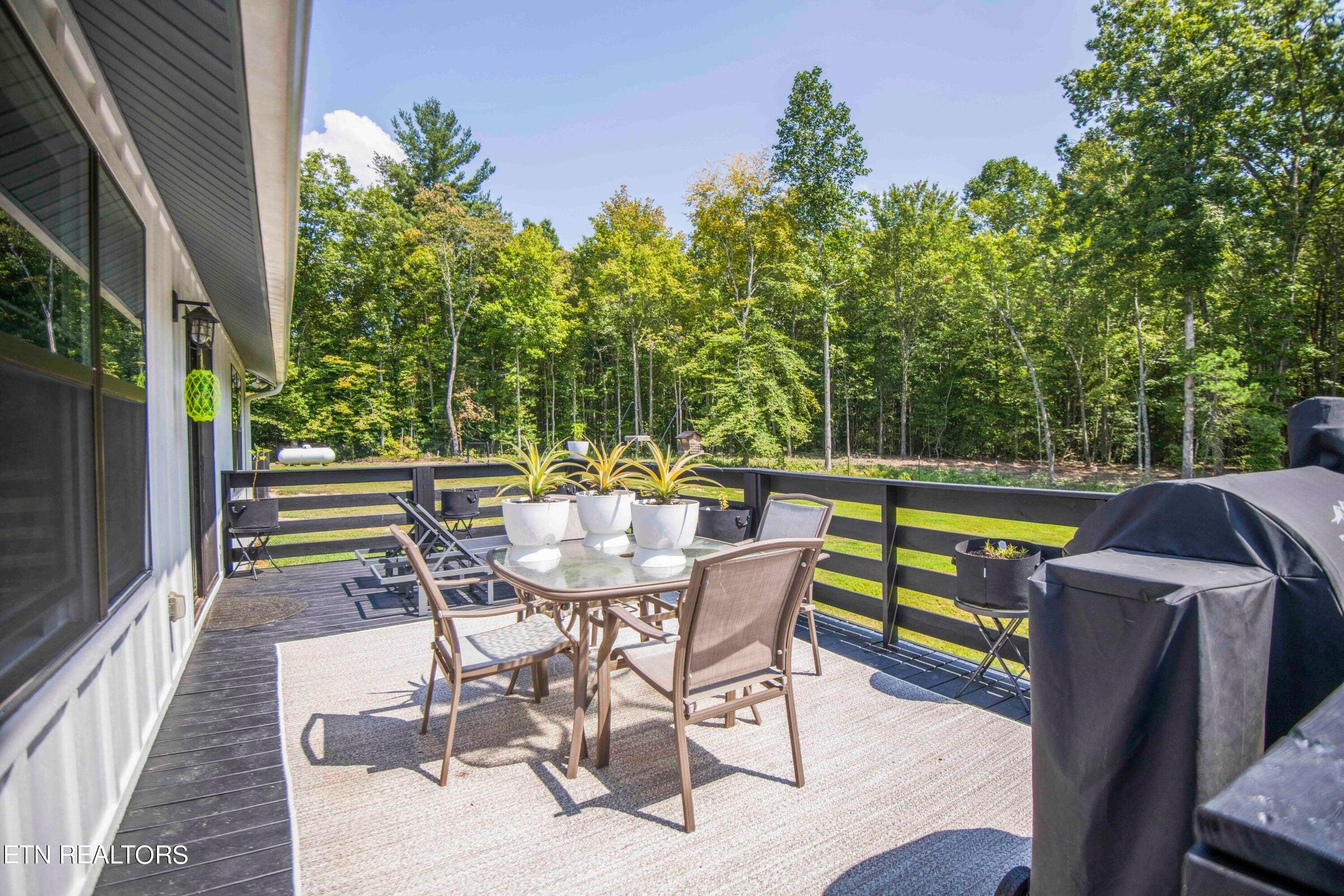 126 Homestead Hollow Road Lancing, TN 37770 - Photo 33 of 60 33