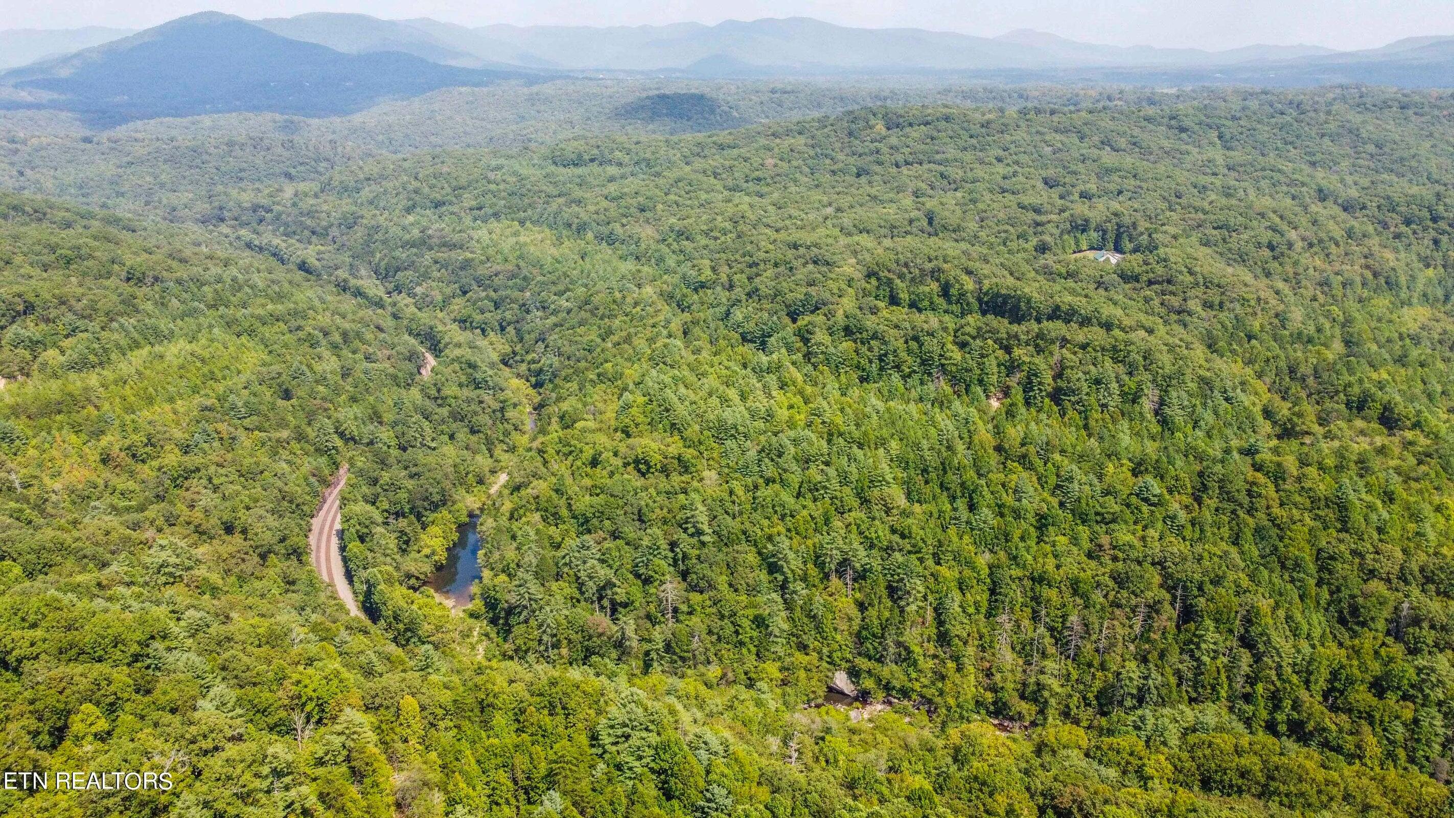 126 Homestead Hollow Road Lancing, TN 37770 - Photo 50 of 60 50