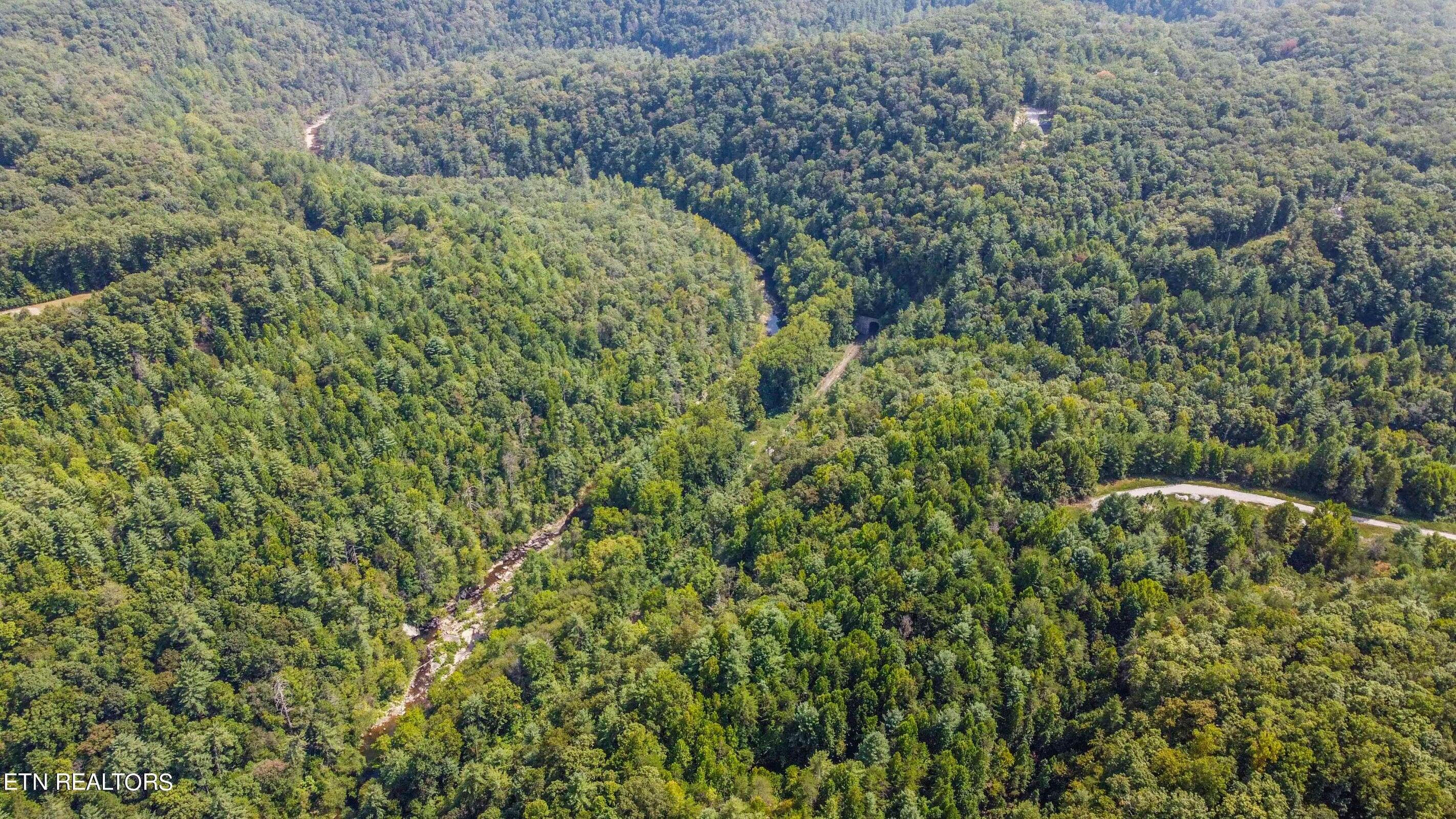 126 Homestead Hollow Road Lancing, TN 37770 - Photo 51 of 60 51