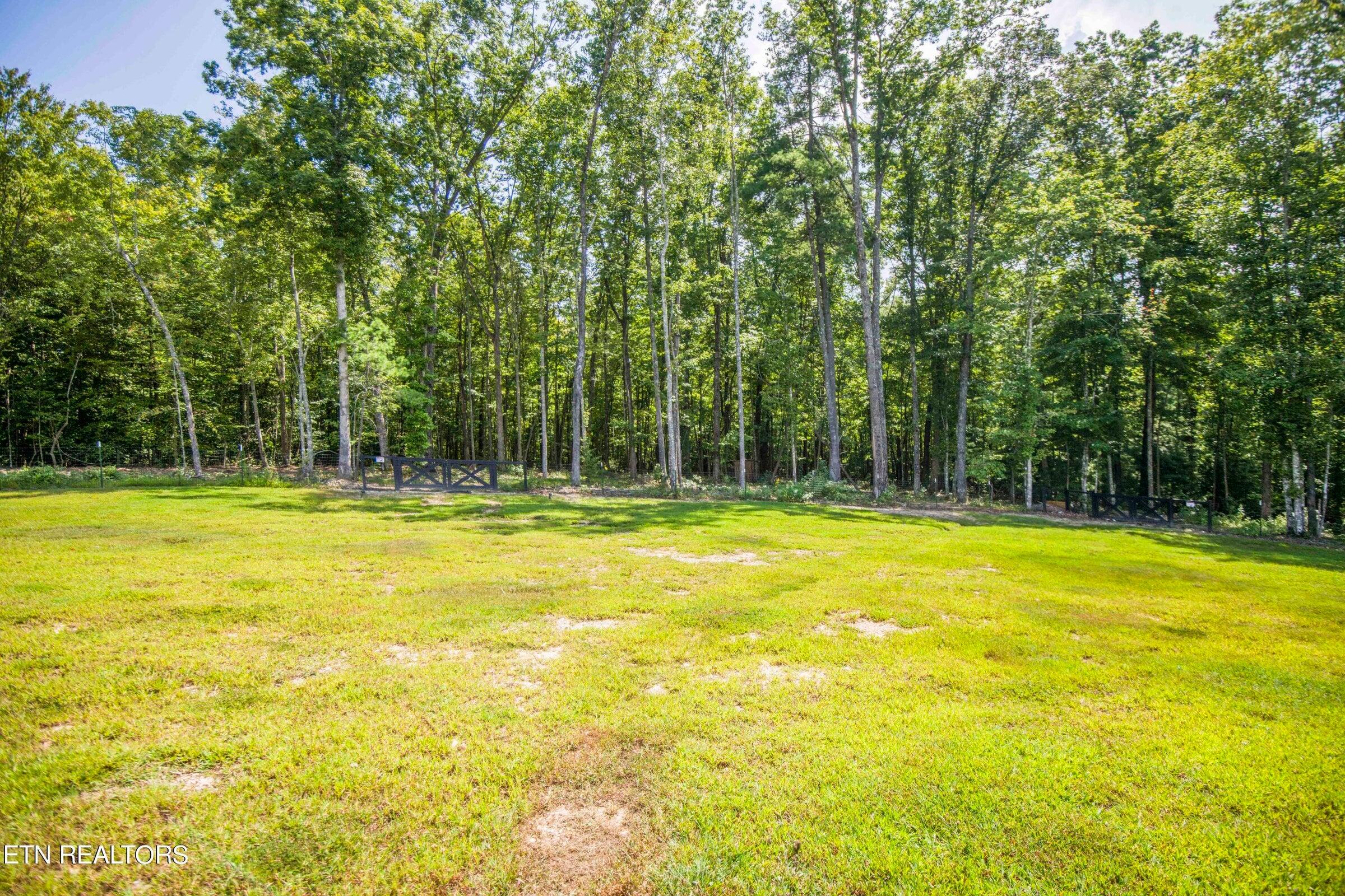 126 Homestead Hollow Road Lancing, TN 37770 - Photo 53 of 60 53