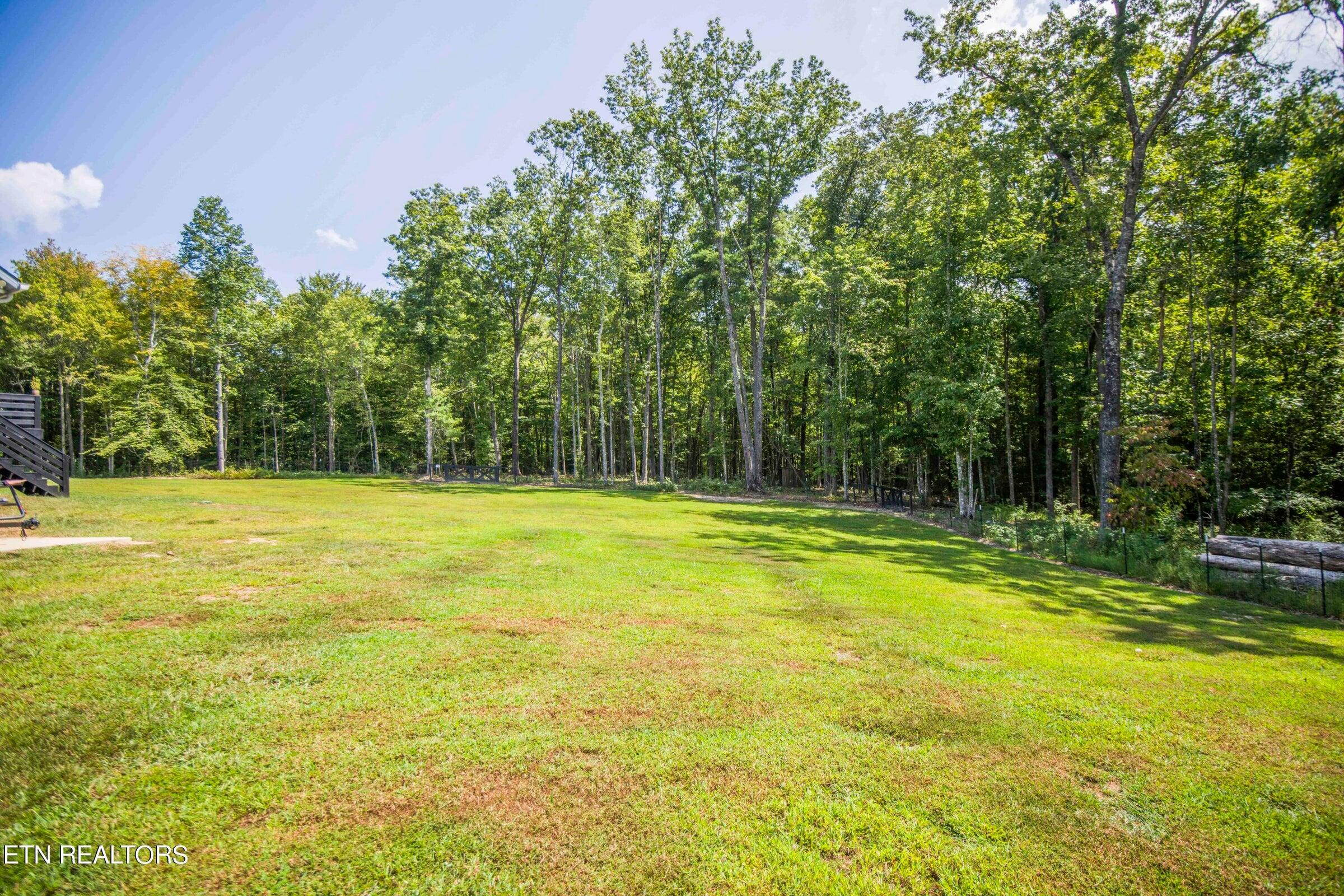 126 Homestead Hollow Road Lancing, TN 37770 - Photo 54 of 60 54