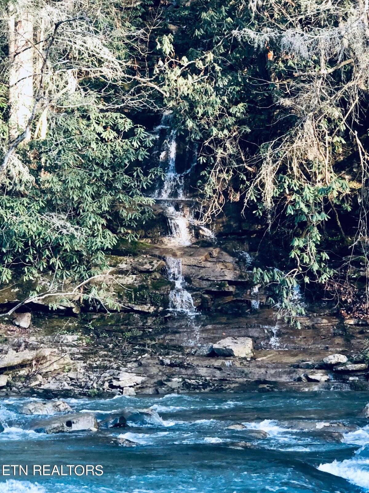 126 Homestead Hollow Road Lancing, TN 37770 - Photo 56 of 60 56