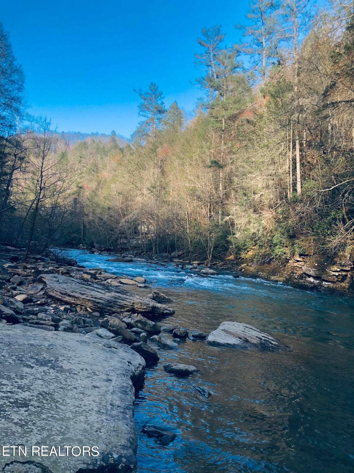 126 Homestead Hollow Road Lancing, TN 37770 - Photo 57 of 60 57