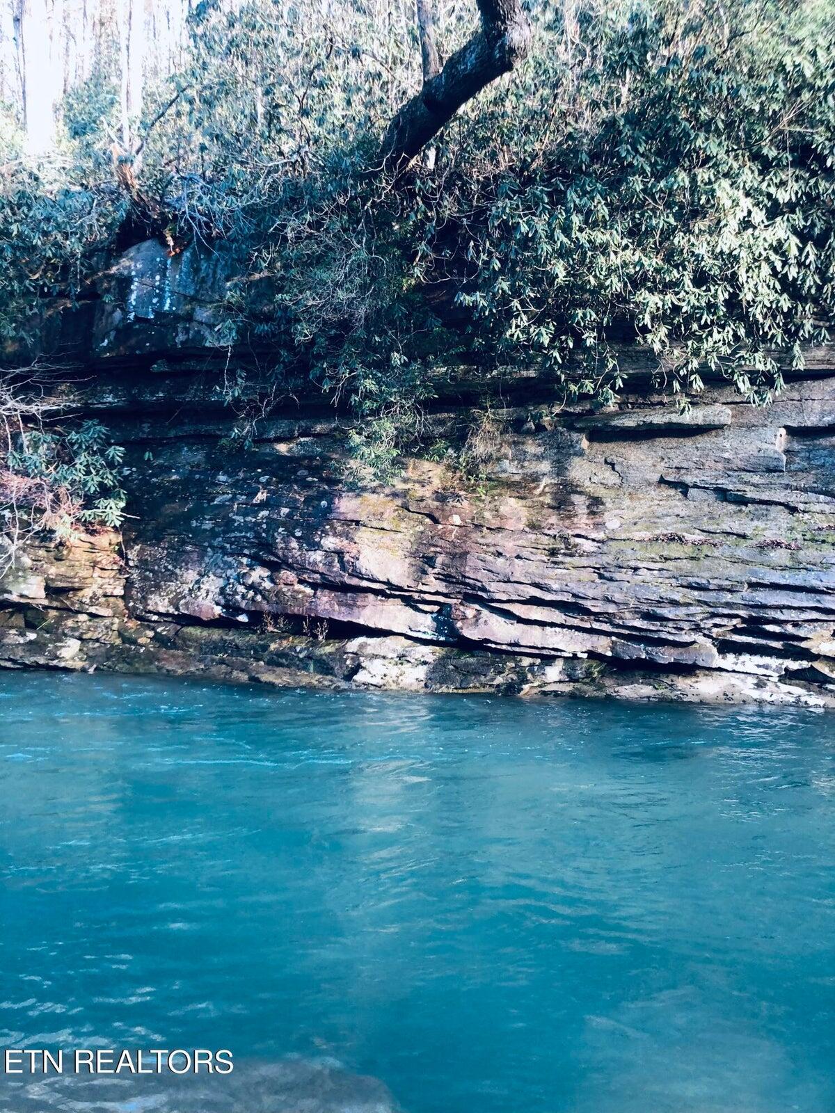 126 Homestead Hollow Road Lancing, TN 37770 - Photo 58 of 60 58