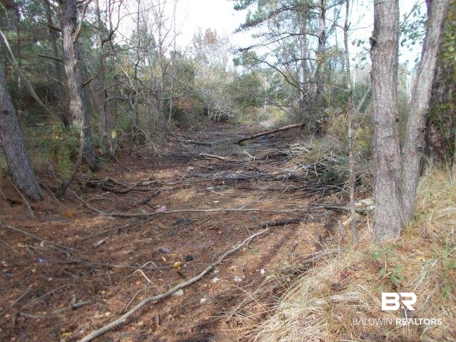 12230 Bay Road West Foley, AL 36535 - Photo 15 of 26 Gallery Image 15