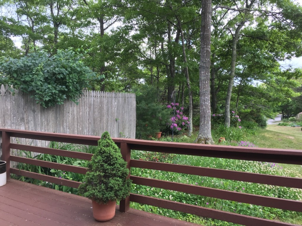 1 Round House Road, Unit 1 Bourne, MA 02532 - Photo 2 of 11 a view of a wooden bench in a garden