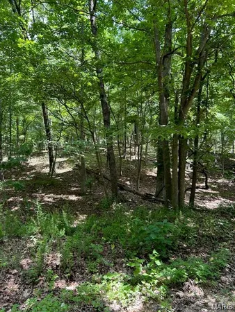 $55,000 | 0 Hargrove Road, St. Robert, MO 65584