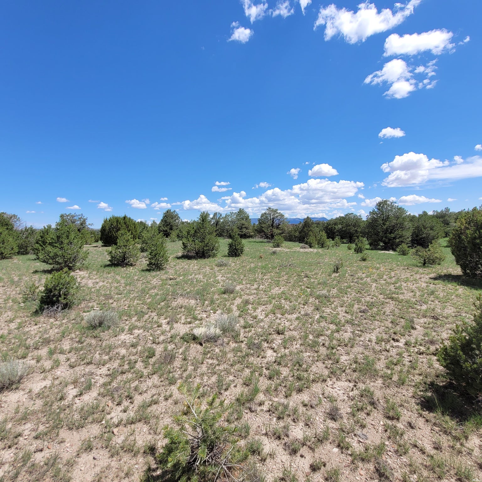 1 Frontier Trail, Unit 17 18 Datil, NM 87821 - Photo 4 of 30 Gallery Image 4