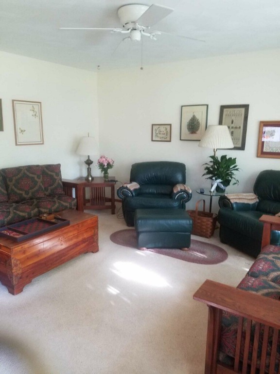 45 North Lynette Drive Decatur, IL 62526 - Photo 6 of 11 a living room with furniture fireplace and a potted plant