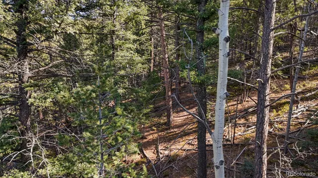 a view of a city with an ocean