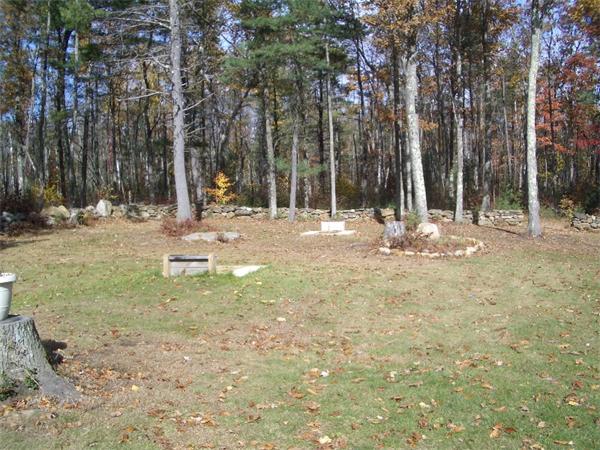 31 Popple Camp Road Petersham, MA 01366 - Photo 3 of 3 a view of a yard with trees