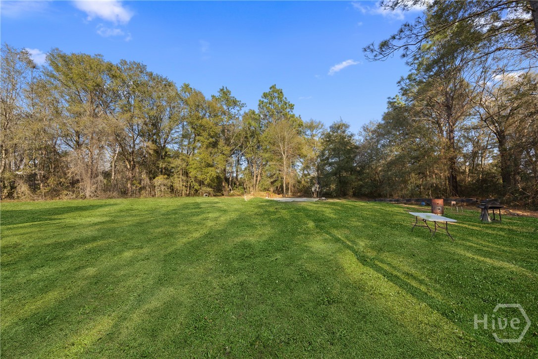 2599 Black Creek Church Road Ellabell, GA 31308 - Photo 36 of 40 View of backyard
