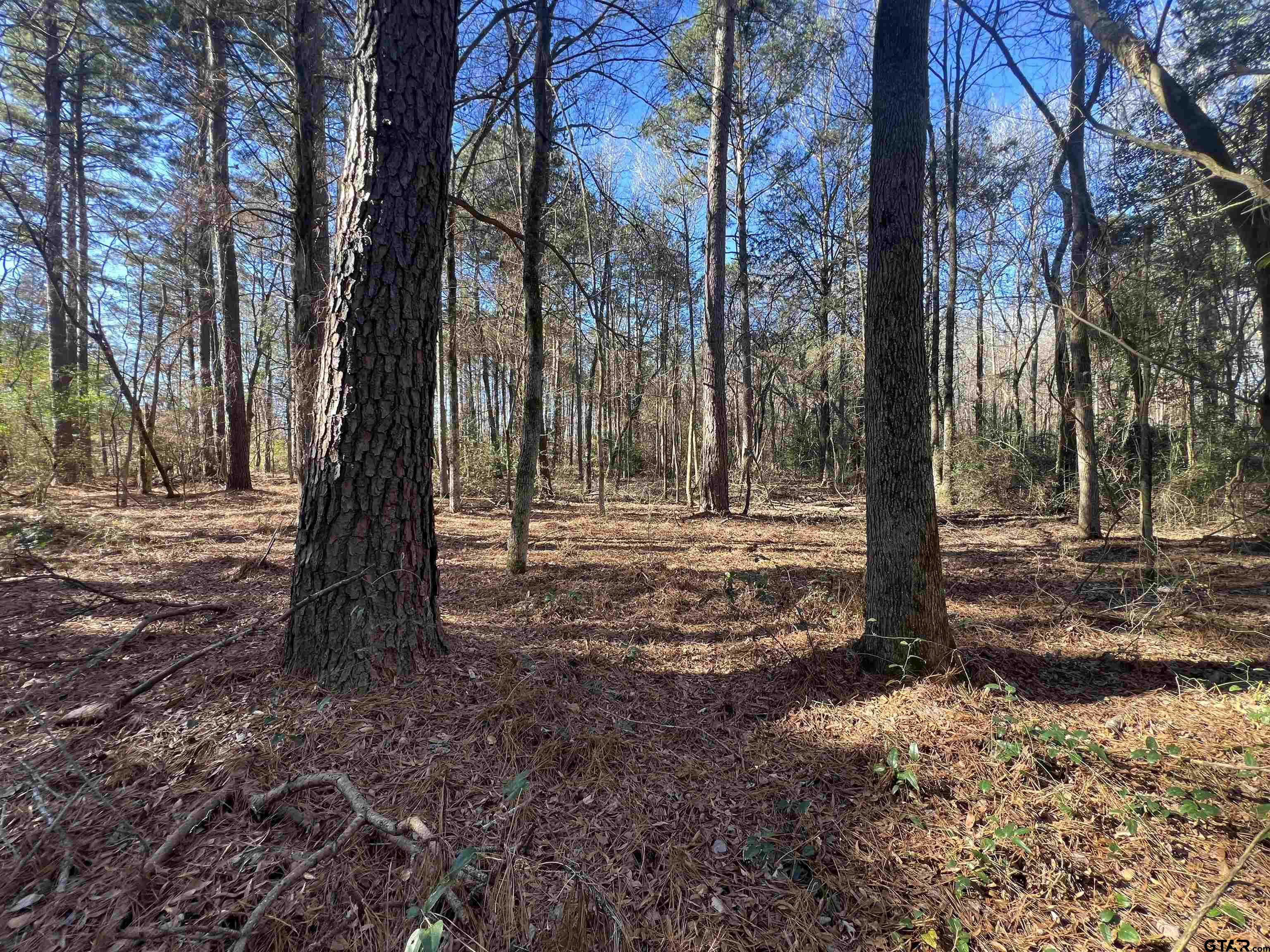 161 N Naples, TX 75568 - Photo 2 of 7