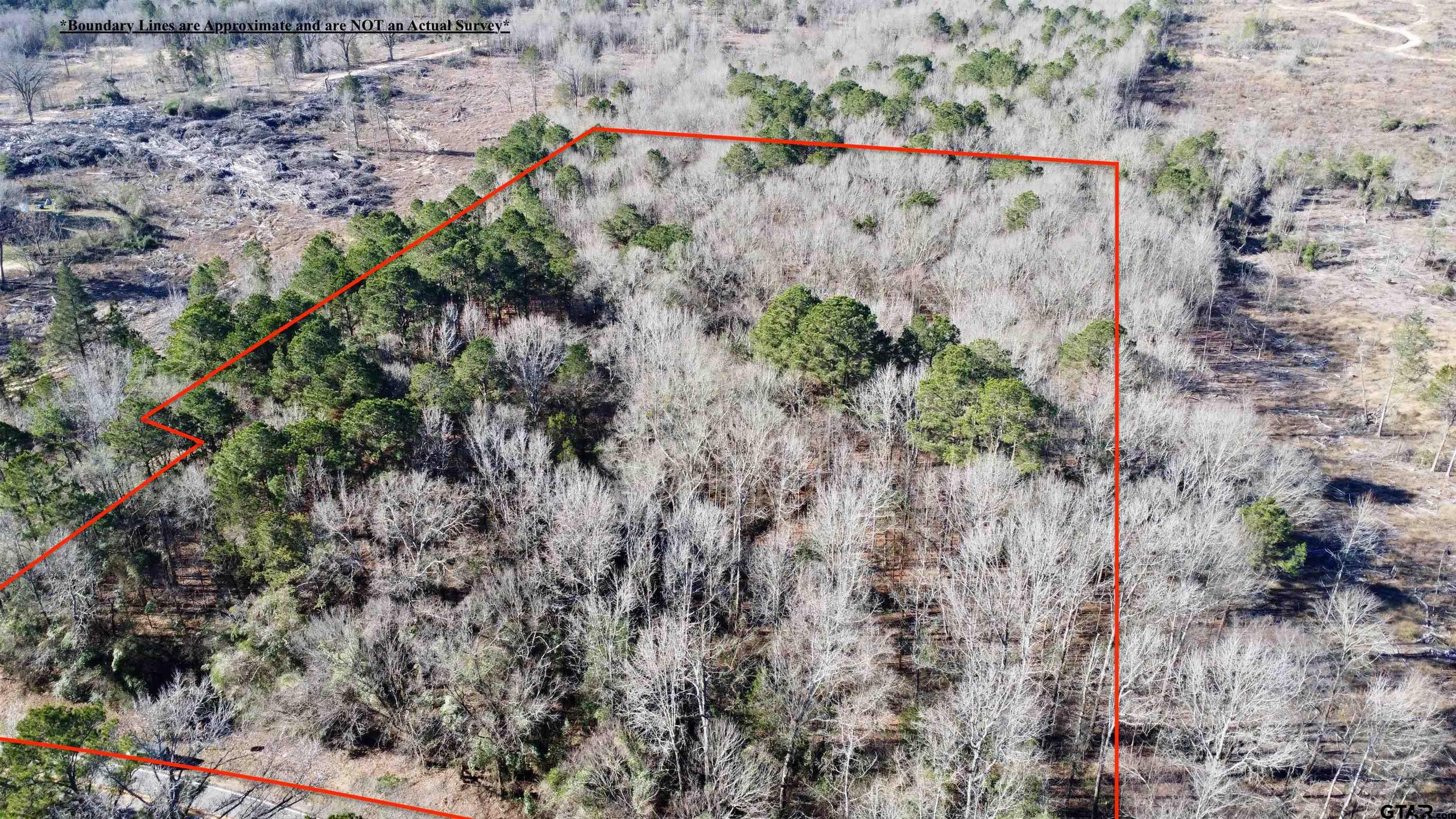 161 N Naples, TX 75568 - Photo 5 of 7