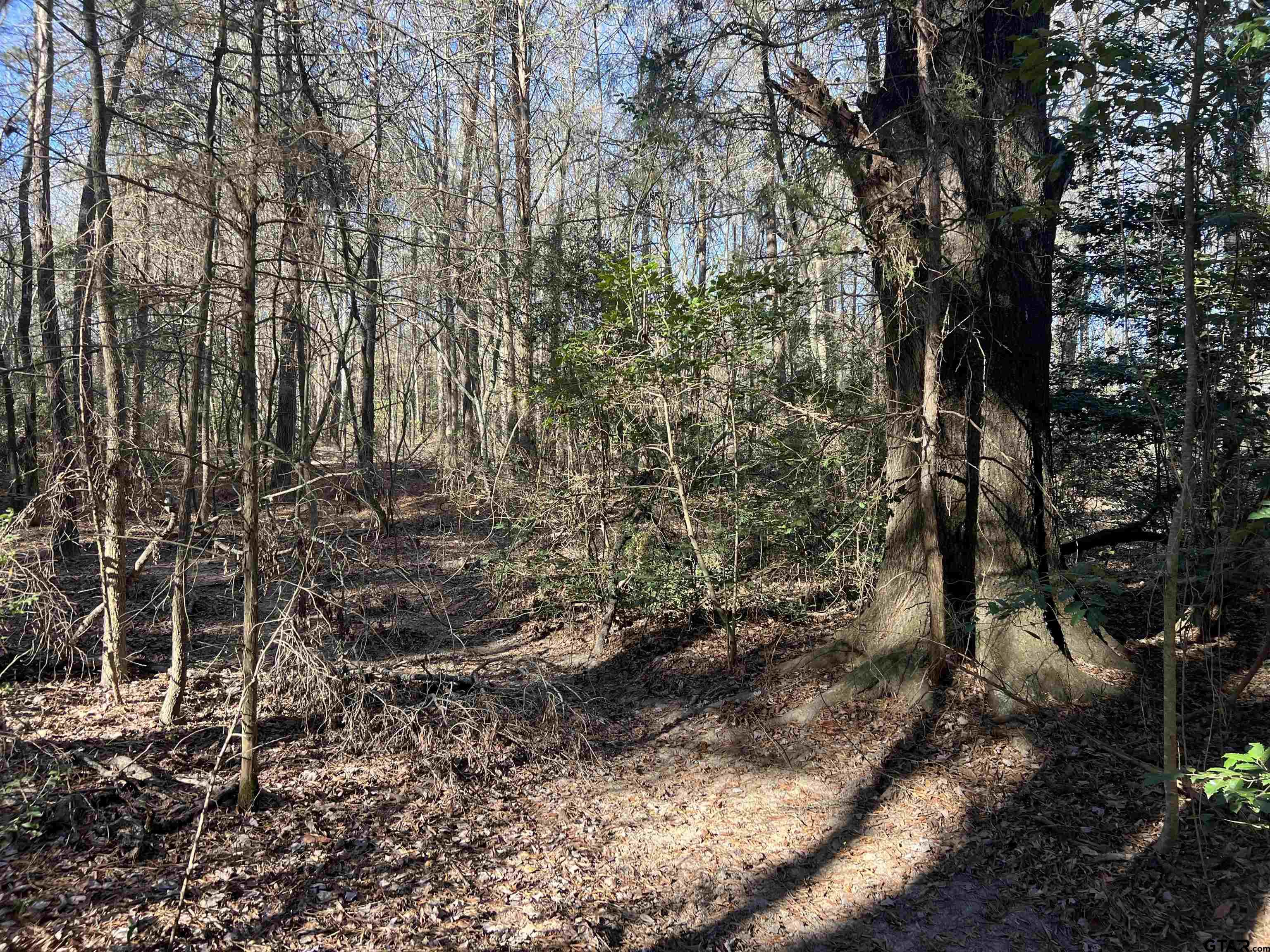 161 N Naples, TX 75568 - Photo 6 of 7