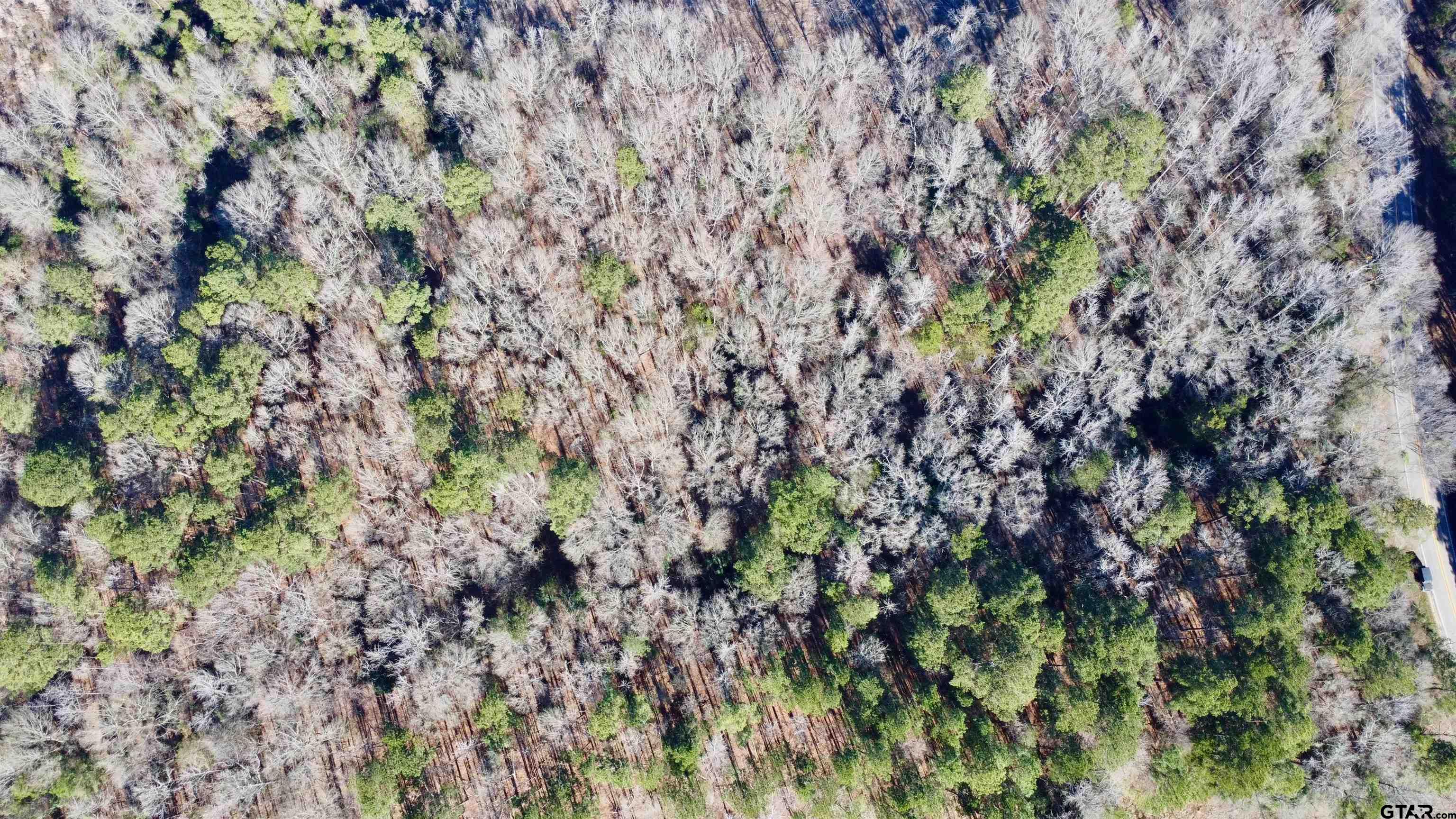 161 N Naples, TX 75568 - Photo 7 of 7