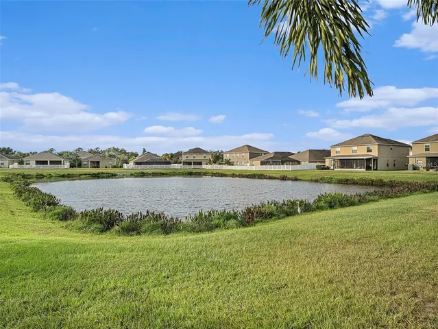 a view of a garden with plants