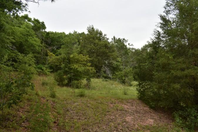98 1st Kolomoki Road Blakely, GA 39823 - Photo 54 of 65 _DSC0116