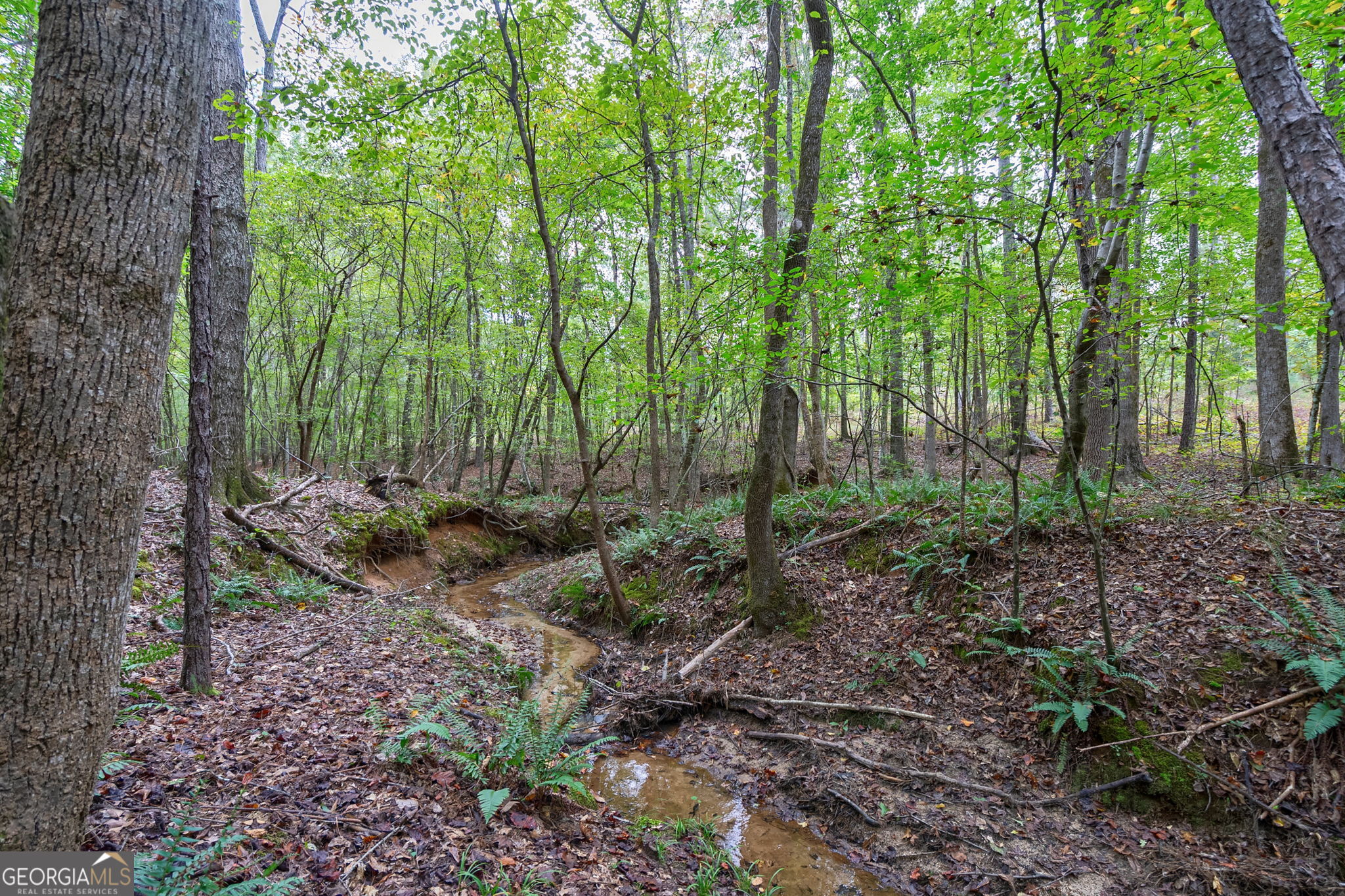 a view of outdoor space and green space