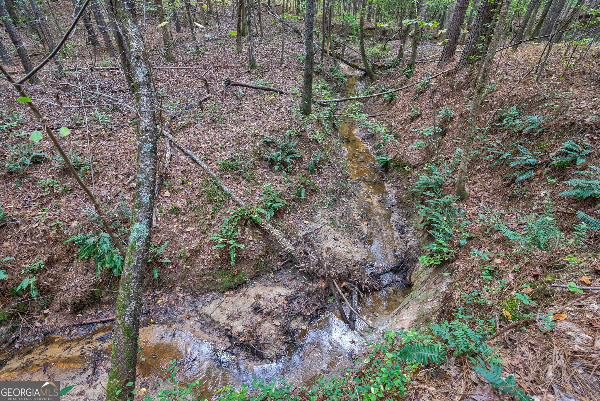 0 Lower Wirebridge Road Stephens, GA 30667 - Photo 11 of 42 a view of a yard