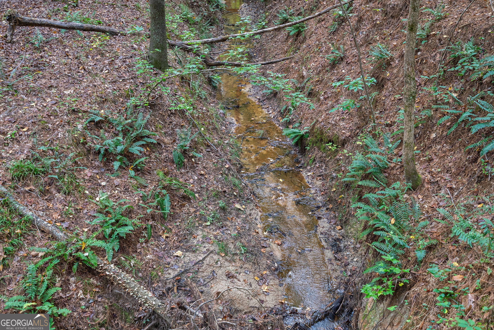 0 Lower Wirebridge Road Stephens, GA 30667 - Photo 12 of 42 a view of a yard with a tree