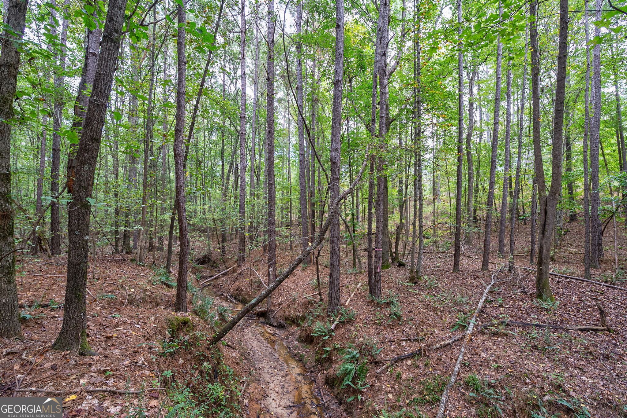 0 Lower Wirebridge Road Stephens, GA 30667 - Photo 13 of 42 a view of outdoor space and green space