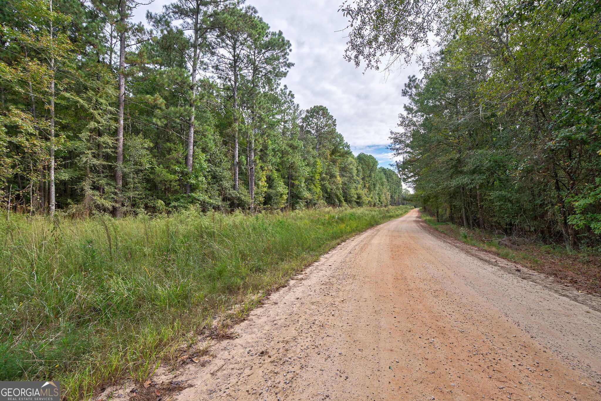 0 Lower Wirebridge Road Stephens, GA 30667 - Photo 2 of 42 a view of a street with a yard