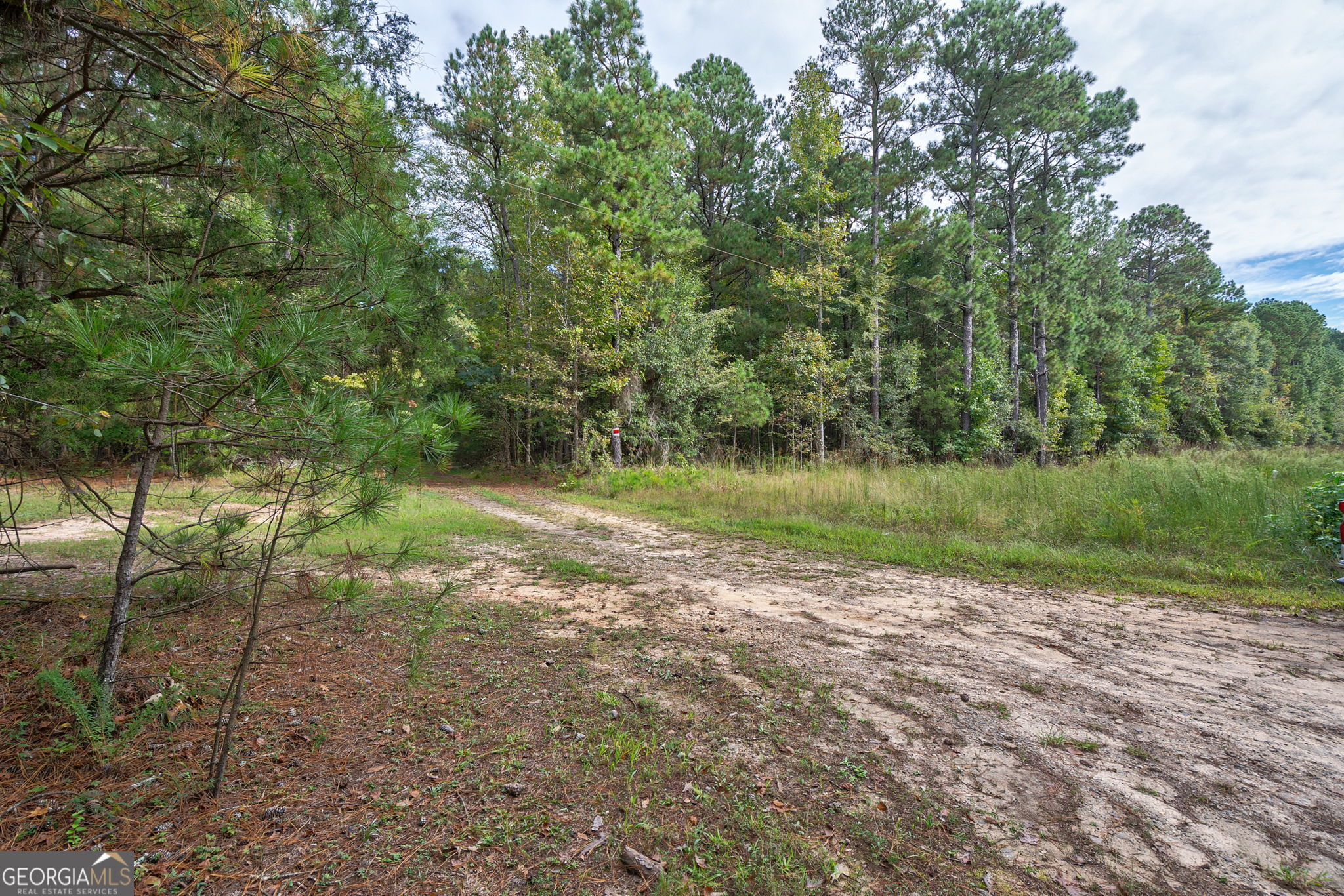 0 Lower Wirebridge Road Stephens, GA 30667 - Photo 27 of 42 a view of a lake with a yard