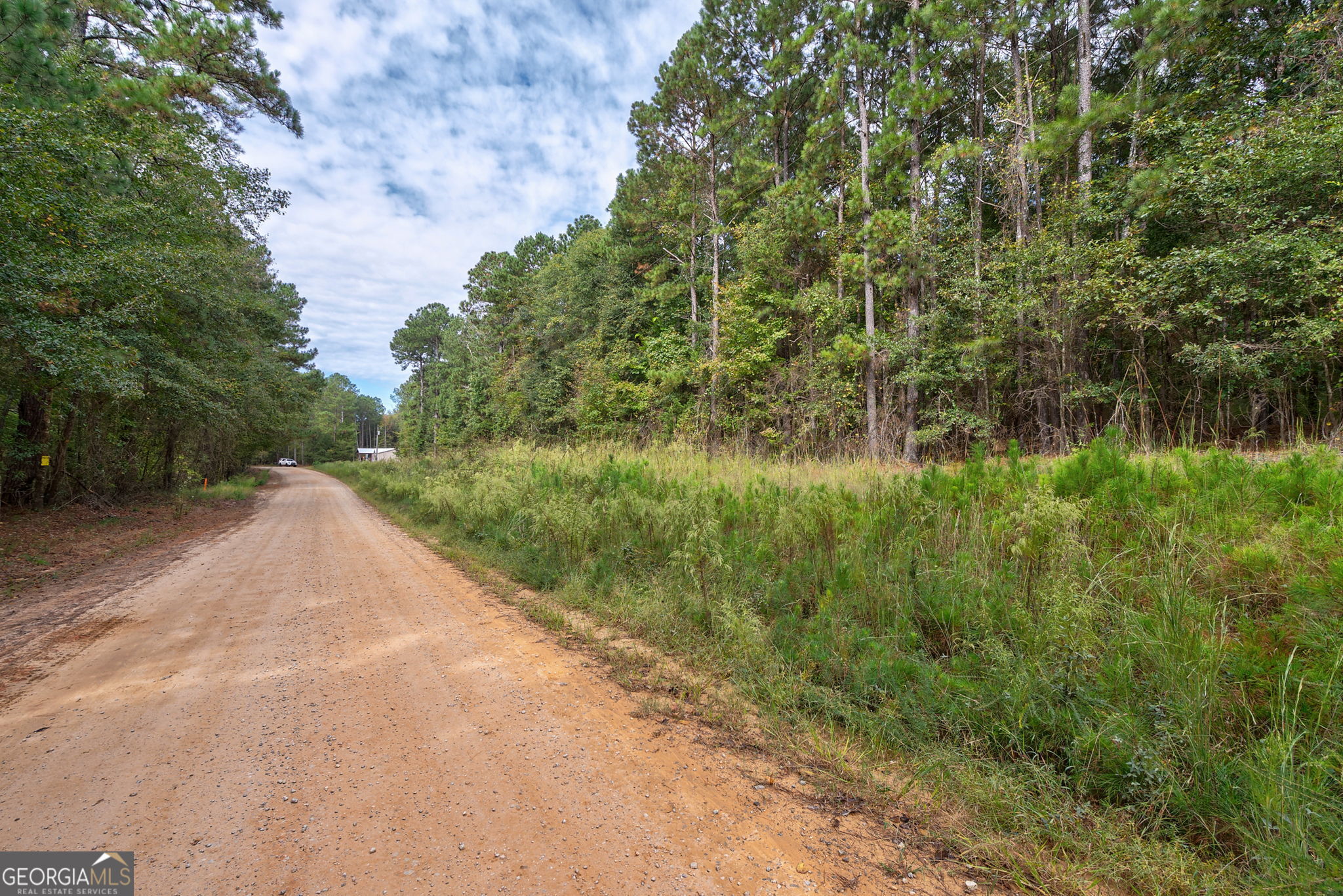 0 Lower Wirebridge Road Stephens, GA 30667 - Photo 3 of 42 a view of a forest with a street