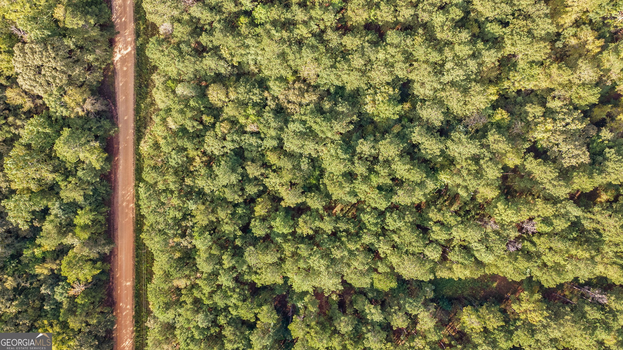 0 Lower Wirebridge Road Stephens, GA 30667 - Photo 33 of 42 a view of a yard with a tree