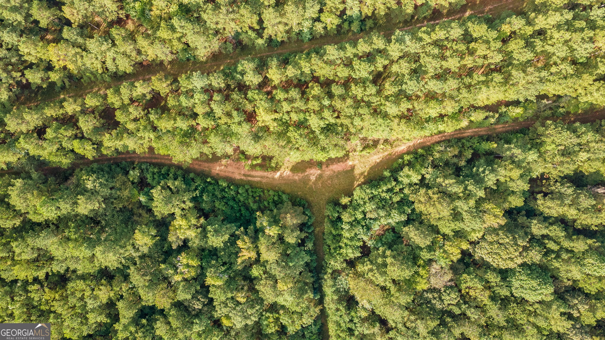 0 Lower Wirebridge Road Stephens, GA 30667 - Photo 35 of 42 a view of a big yard