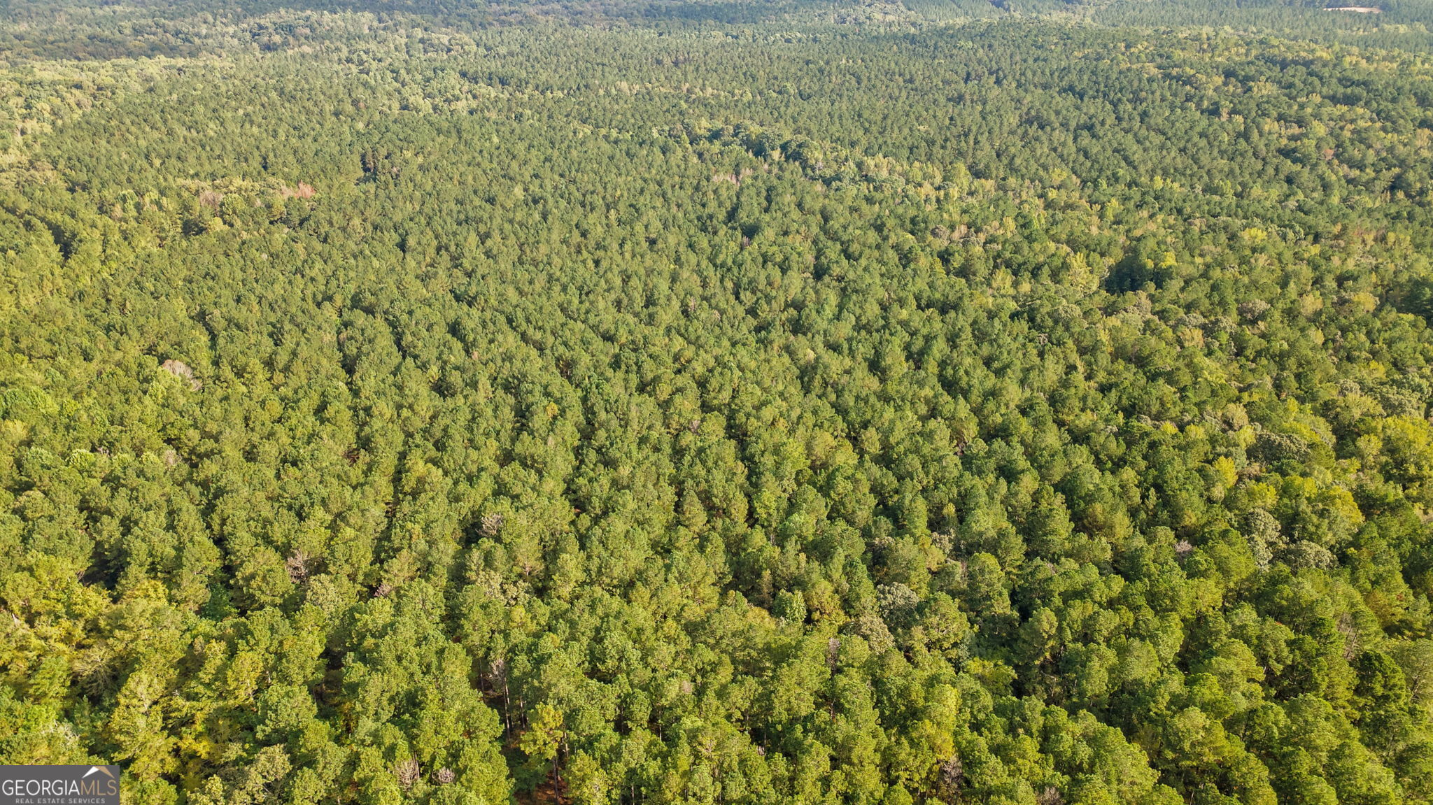 0 Lower Wirebridge Road Stephens, GA 30667 - Photo 36 of 42 a view of a window