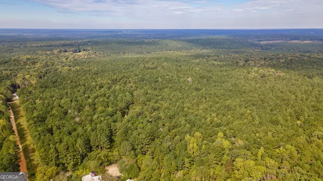 a view of a big yard with plants and large trees