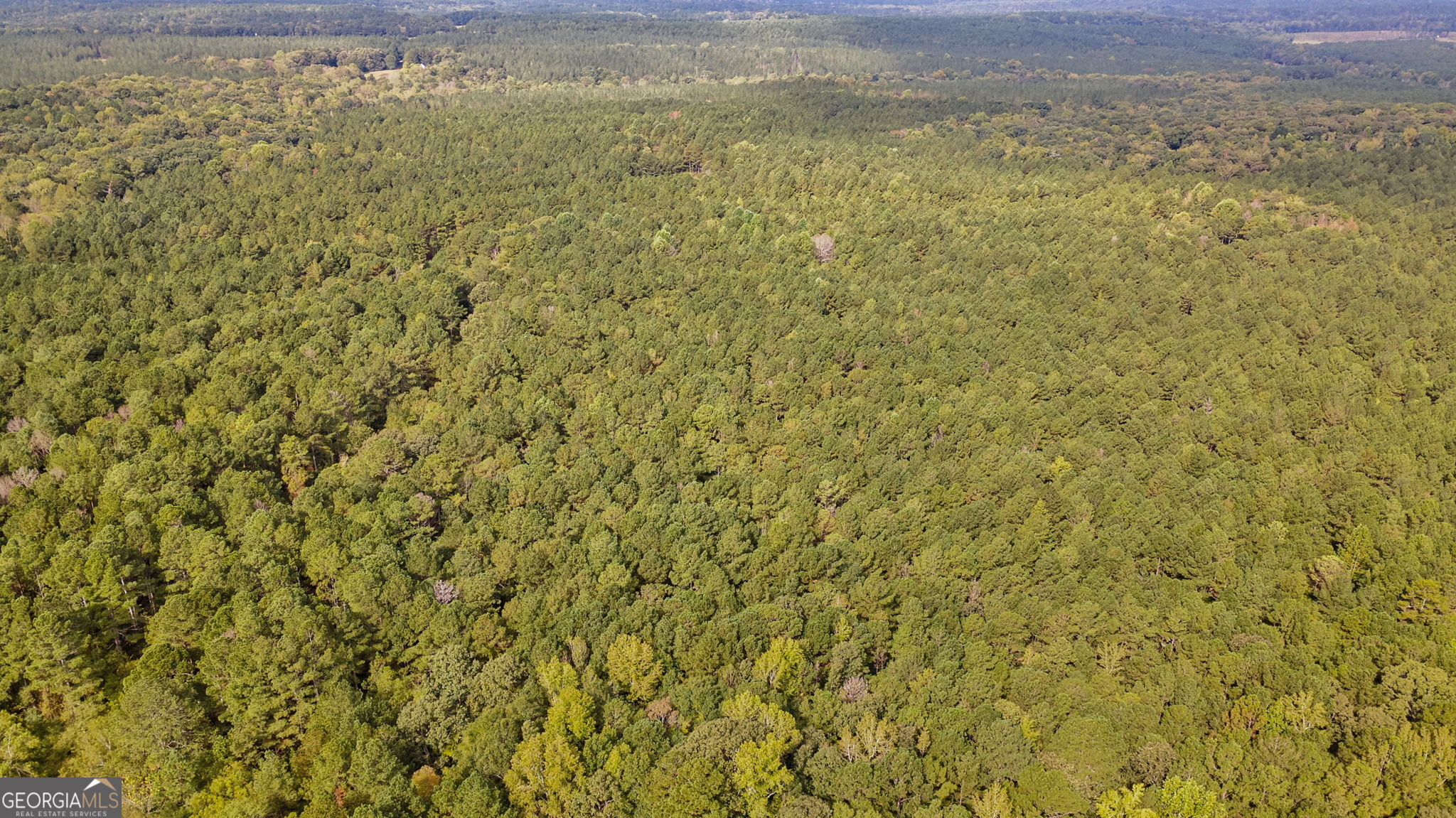 0 Lower Wirebridge Road Stephens, GA 30667 - Photo 39 of 42 a view of a yard