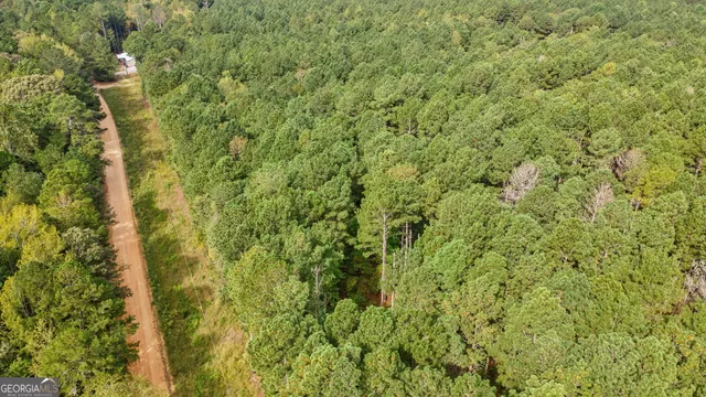 a view of a field with a tree in the background