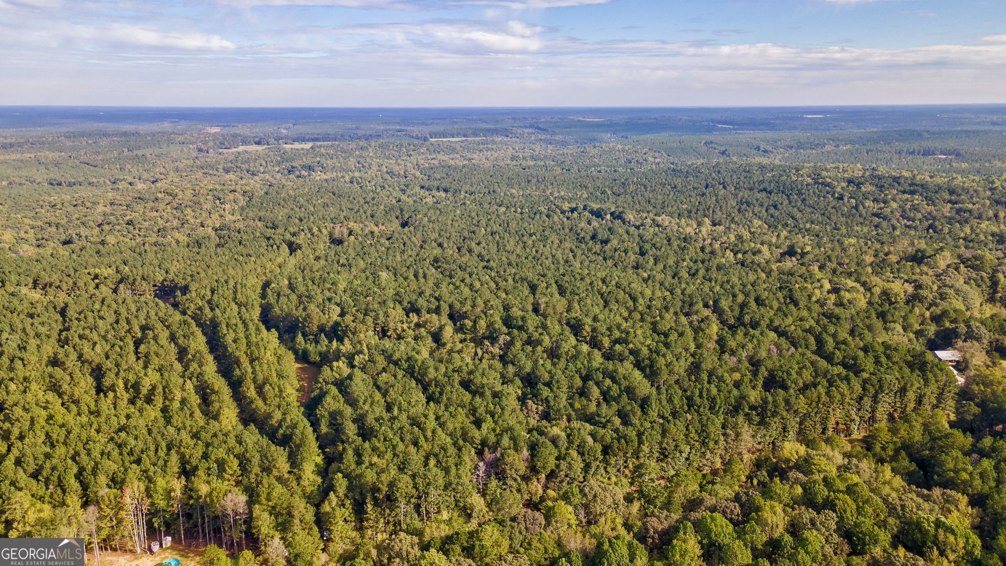 0 Lower Wirebridge Road Stephens, GA 30667 - Photo 41 of 42 a view of a city with lush green forest