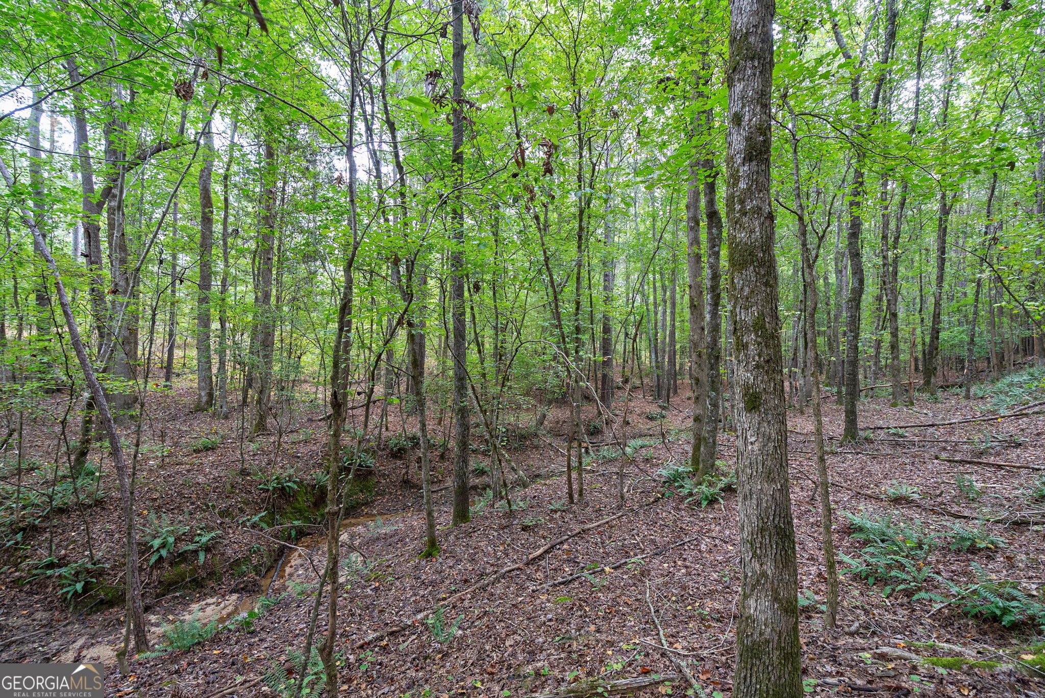 0 Lower Wirebridge Road Stephens, GA 30667 - Photo 9 of 42