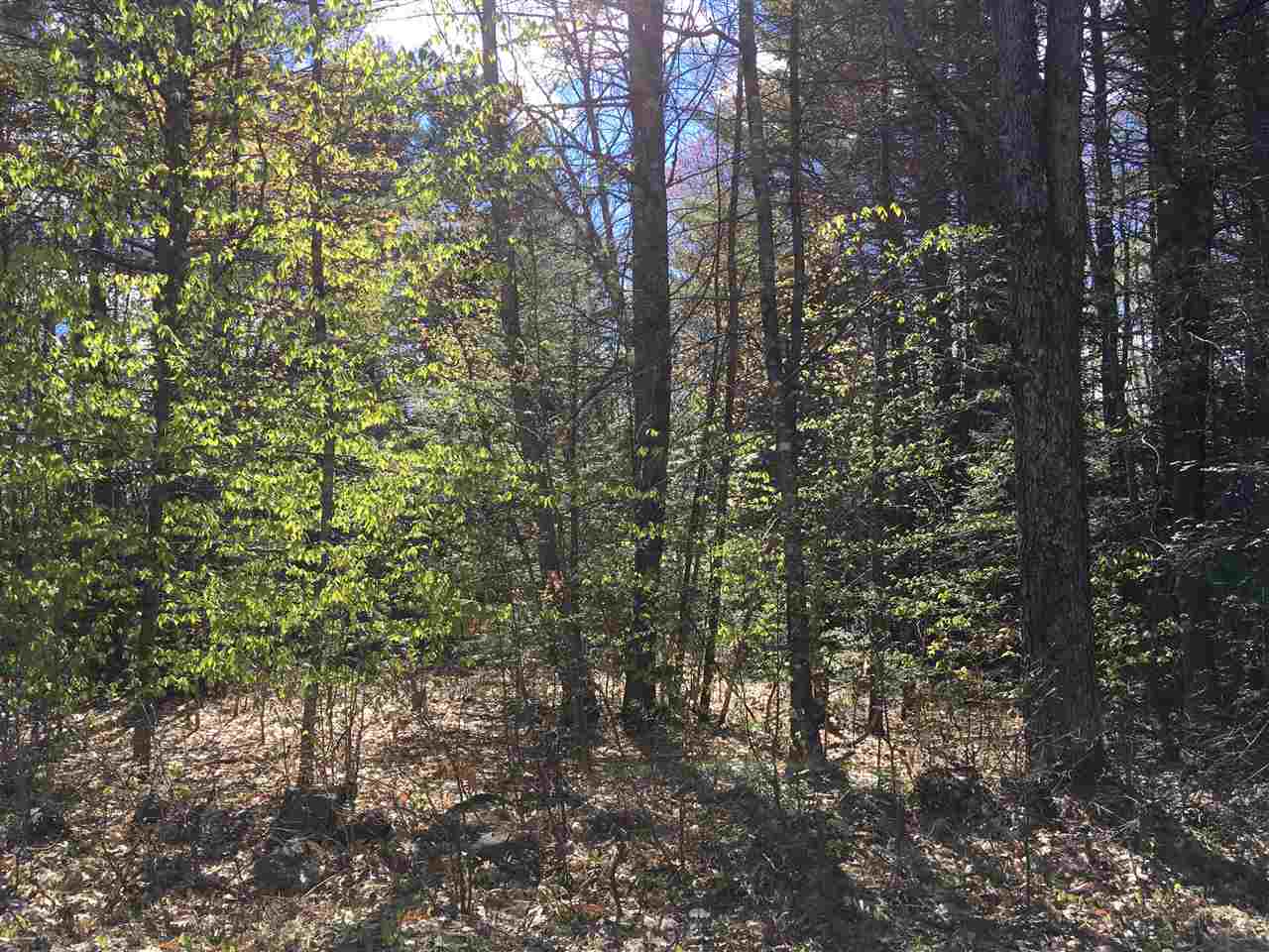 Rd Road, Unit 3 Center Conway, NH 03813 - Photo 1 of 3 Gallery Image 1