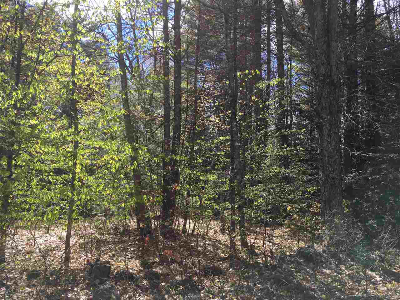 Rd Road, Unit 3 Center Conway, NH 03813 - Photo 3 of 3 Gallery Image 3
