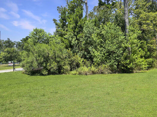 481 Trotters Lane Moncks Corner, SC 29461 - Photo 36 of 37 IMG_9586