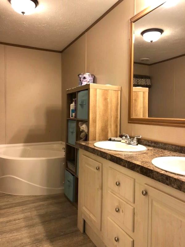 931 Doaks Creek Road Speedwell, TN 37870 - Photo 7 of 8 Master Bath