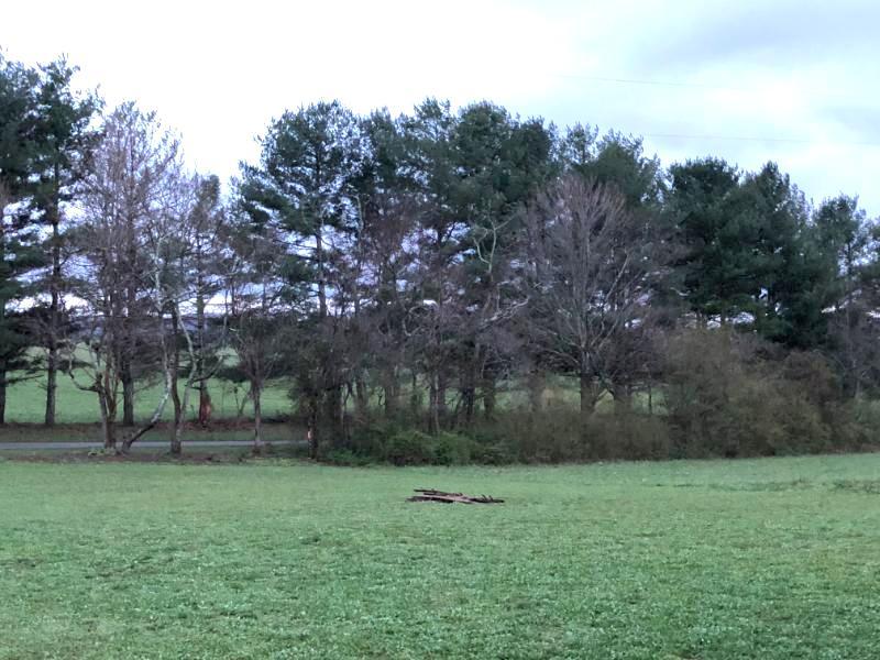 931 Doaks Creek Road Speedwell, TN 37870 - Photo 8 of 8 Yard