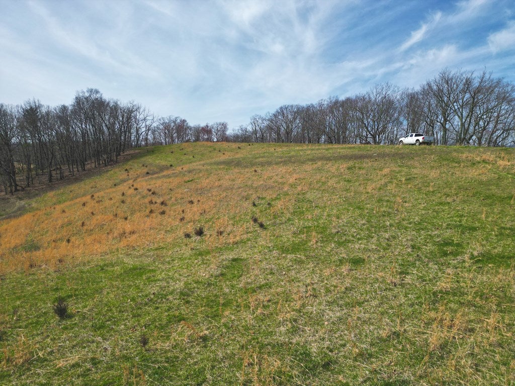 Tbd Tbd Dallas Freeman Road Hiwassee, VA 24347 - Photo 6 of 14 Gallery Image 6