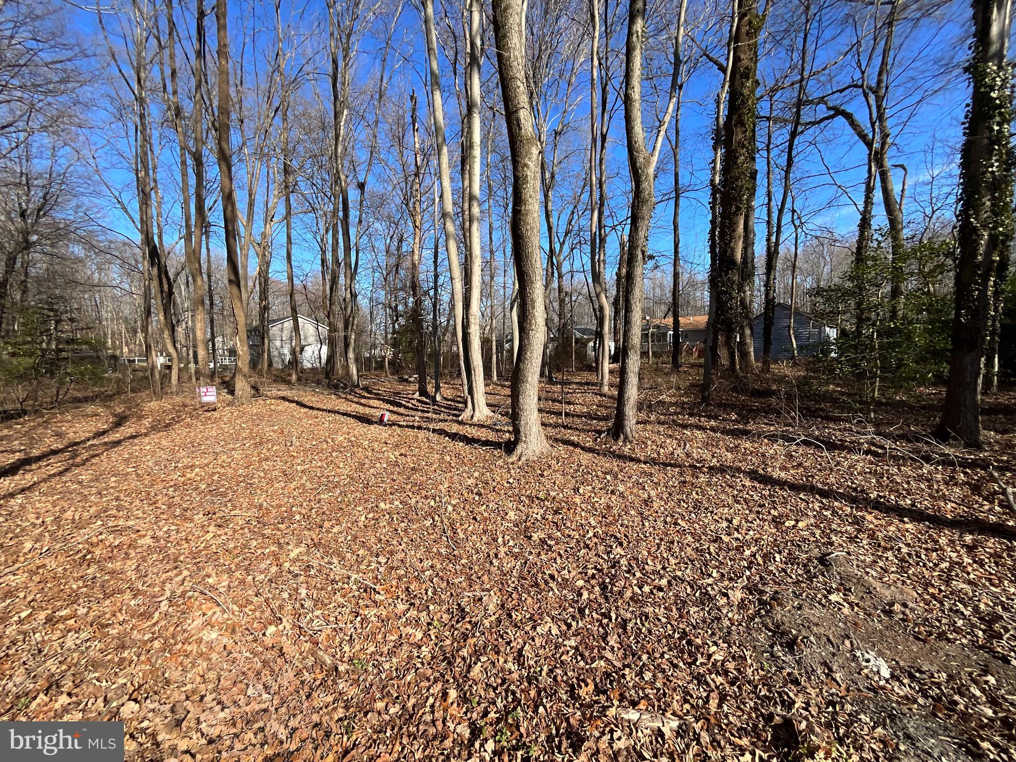 Holly Neck Road Essex, MD 21221 - Photo 2 of 10 Partially wooded lot