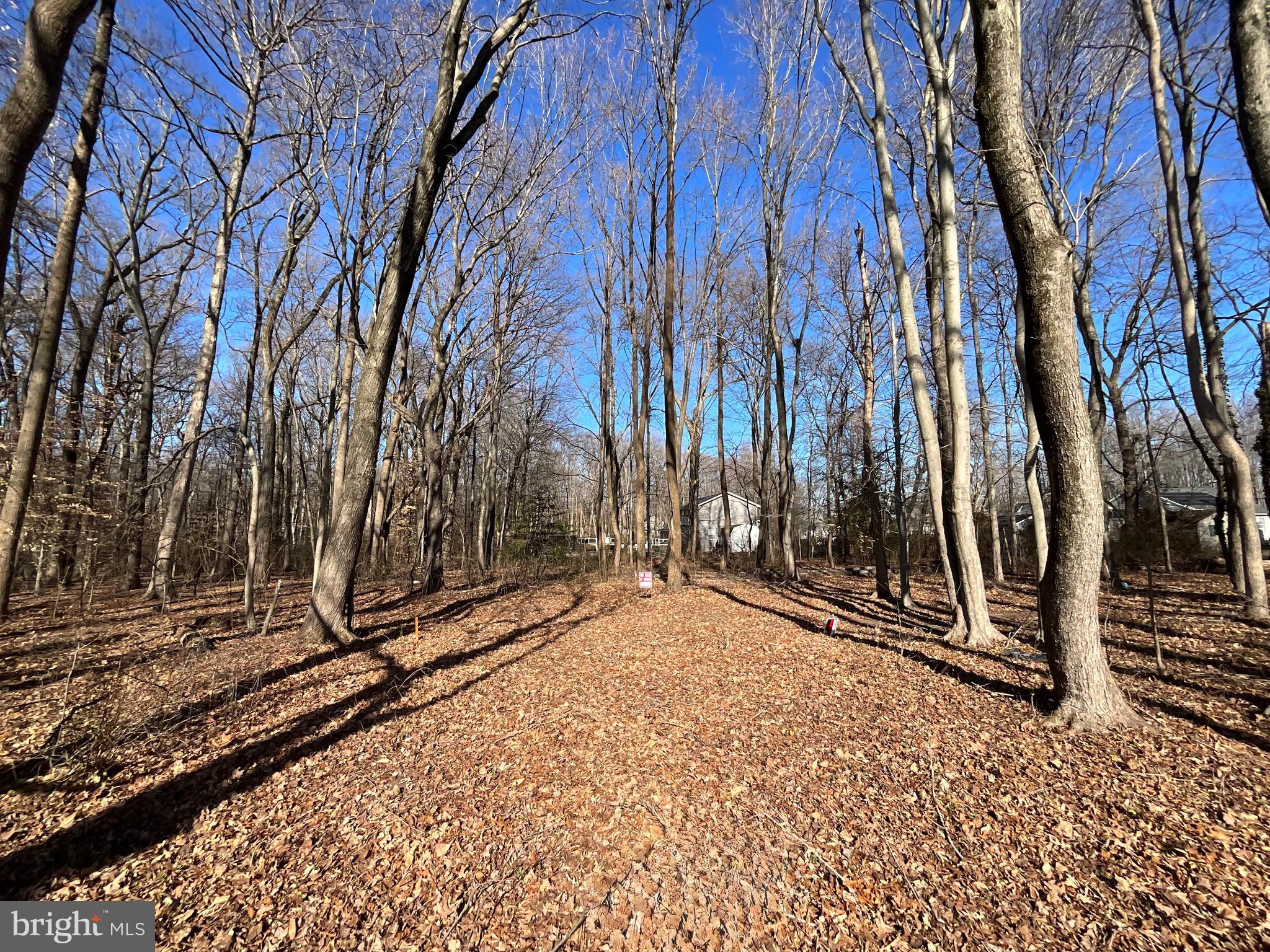 Holly Neck Road Essex, MD 21221 - Photo 3 of 10 Buildable lot